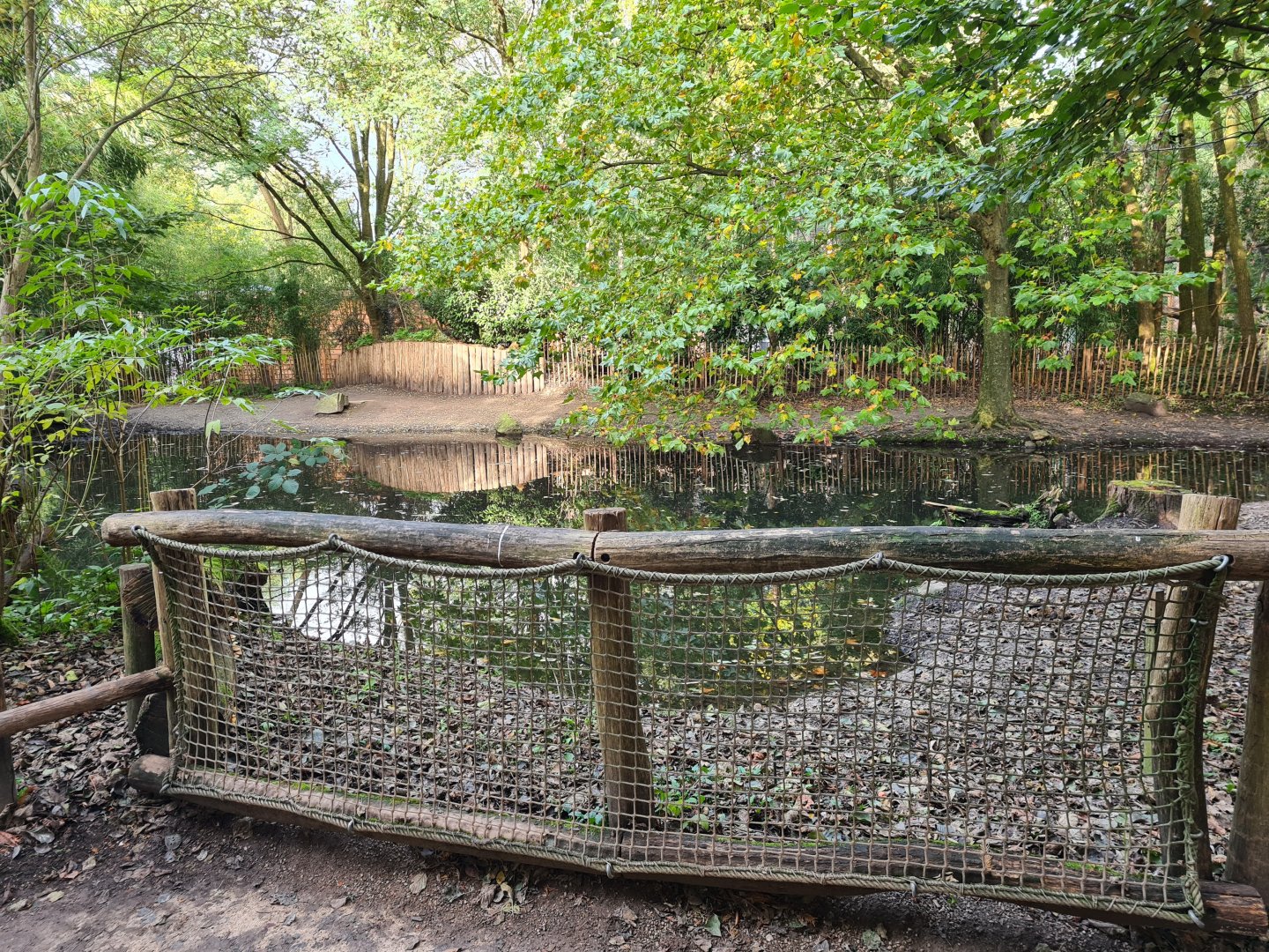 Ngorongo - Pygmy hippo habitat