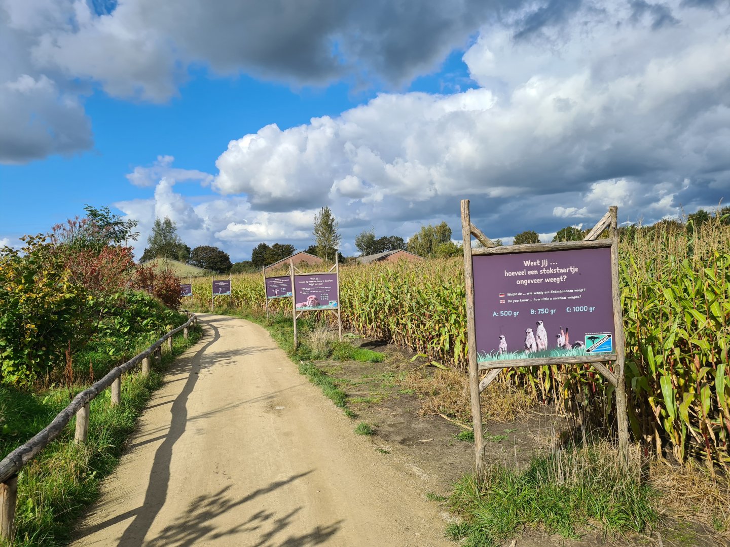 Ngorongo - Quiz path