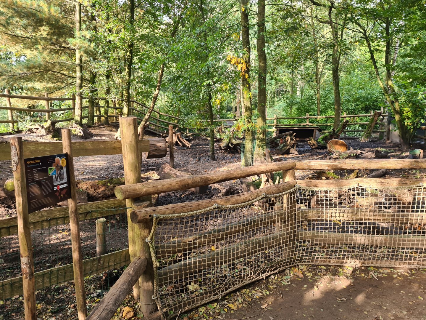 Ngorongo - Red River hog habitat