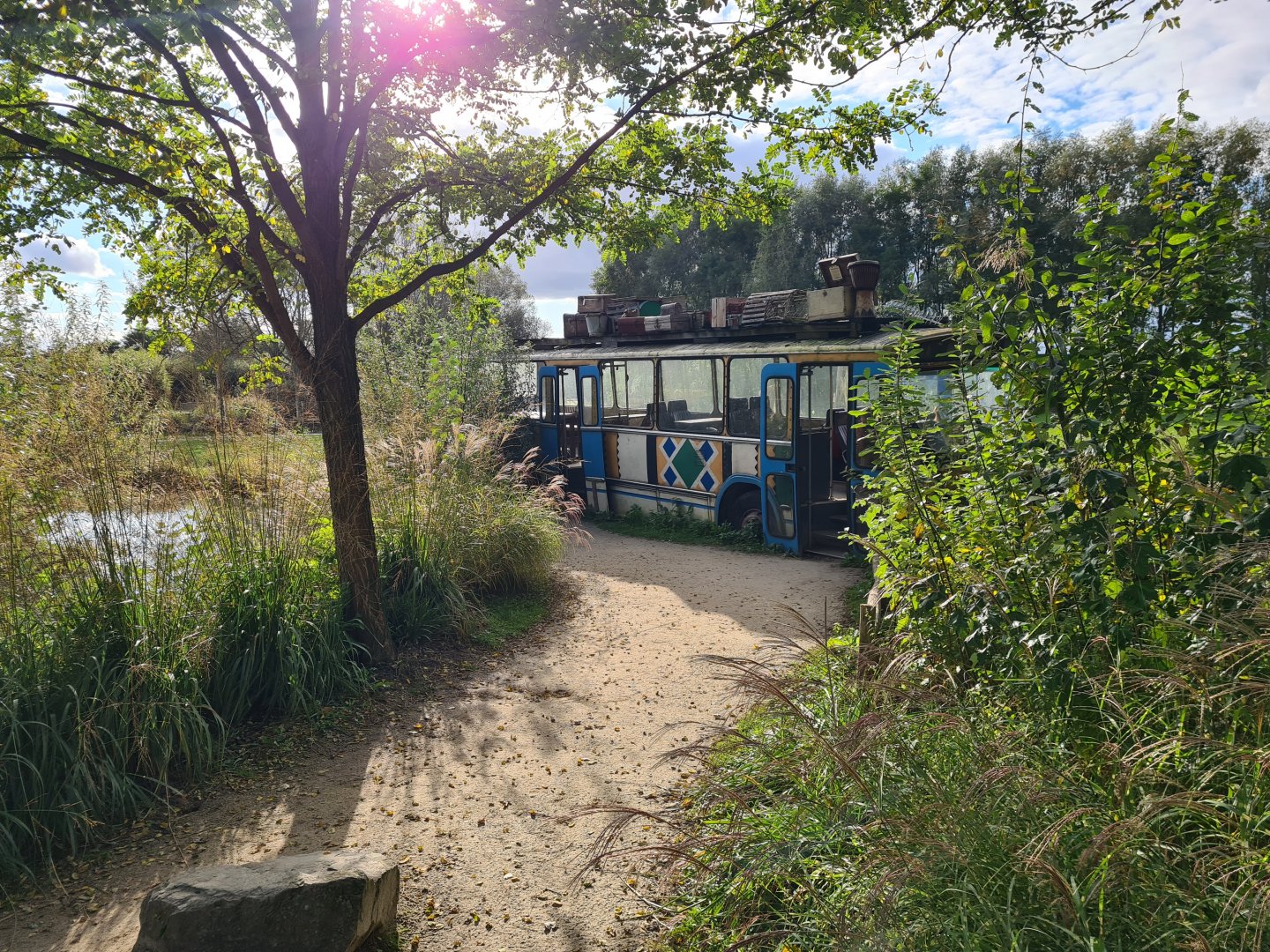 Ngorongo - Safari bus viewing point