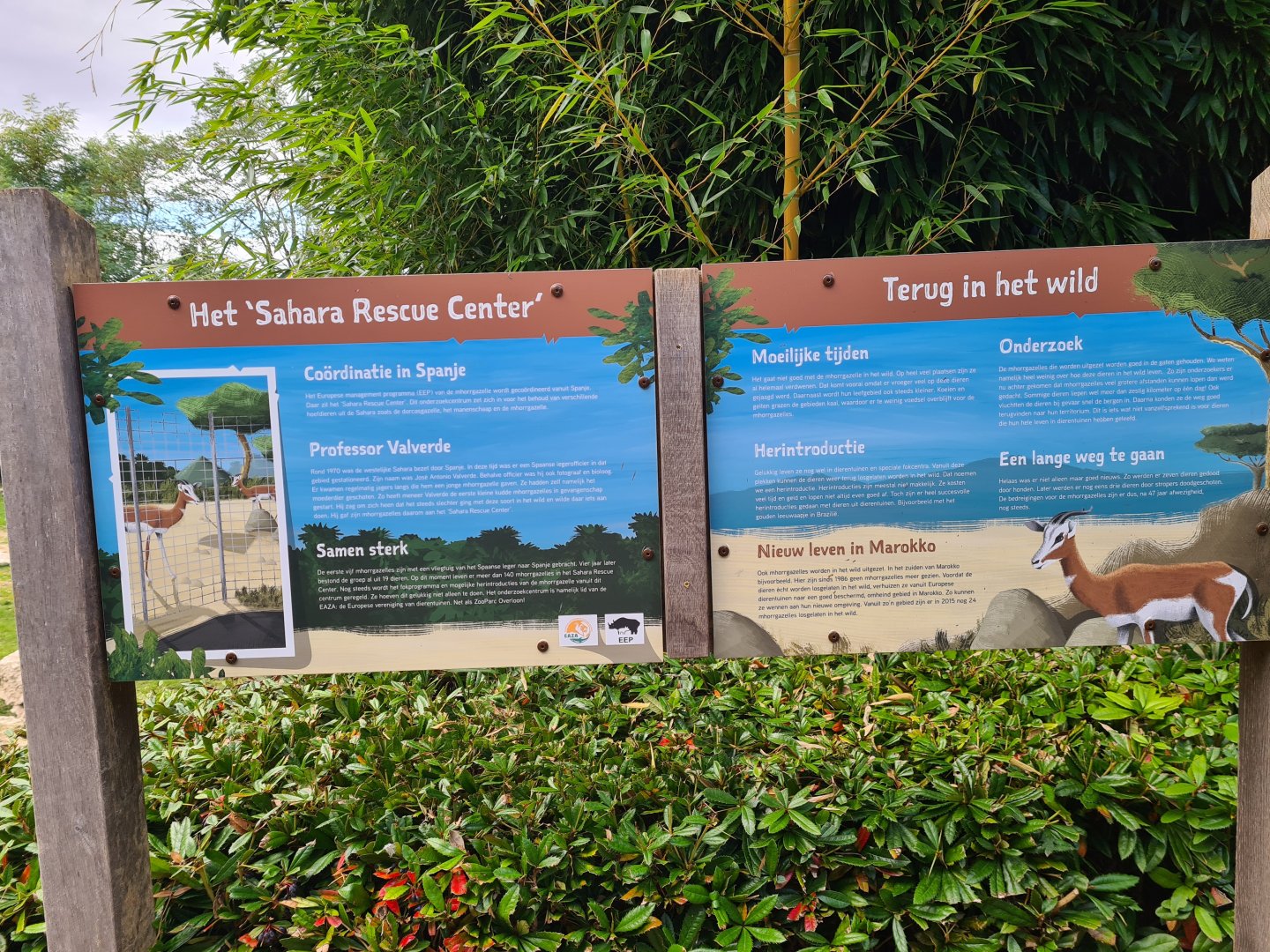 Ngorongo - Sahara rescue centre signage