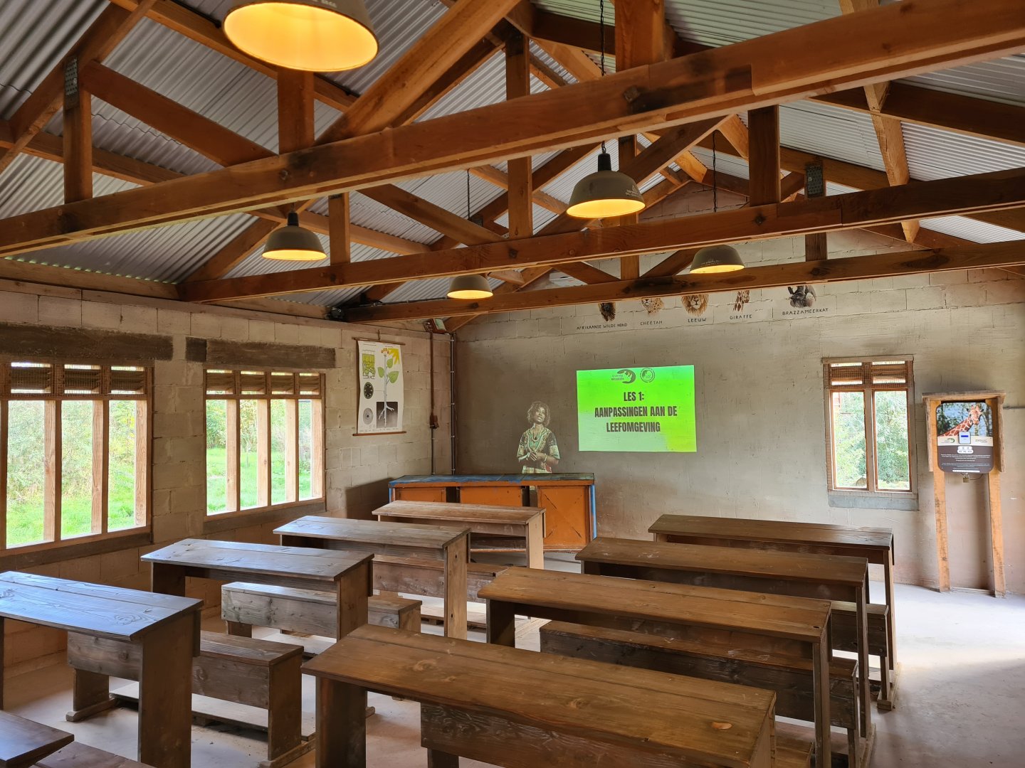 Ngorongo - Teacher projection