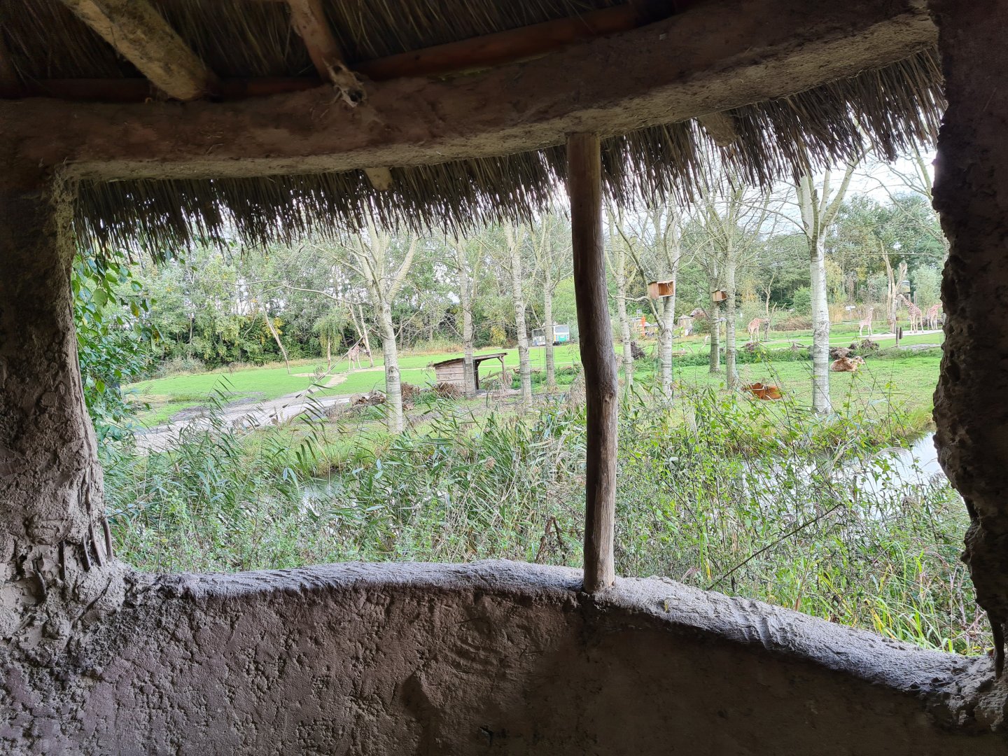 Ngorongo - View from viewing hut