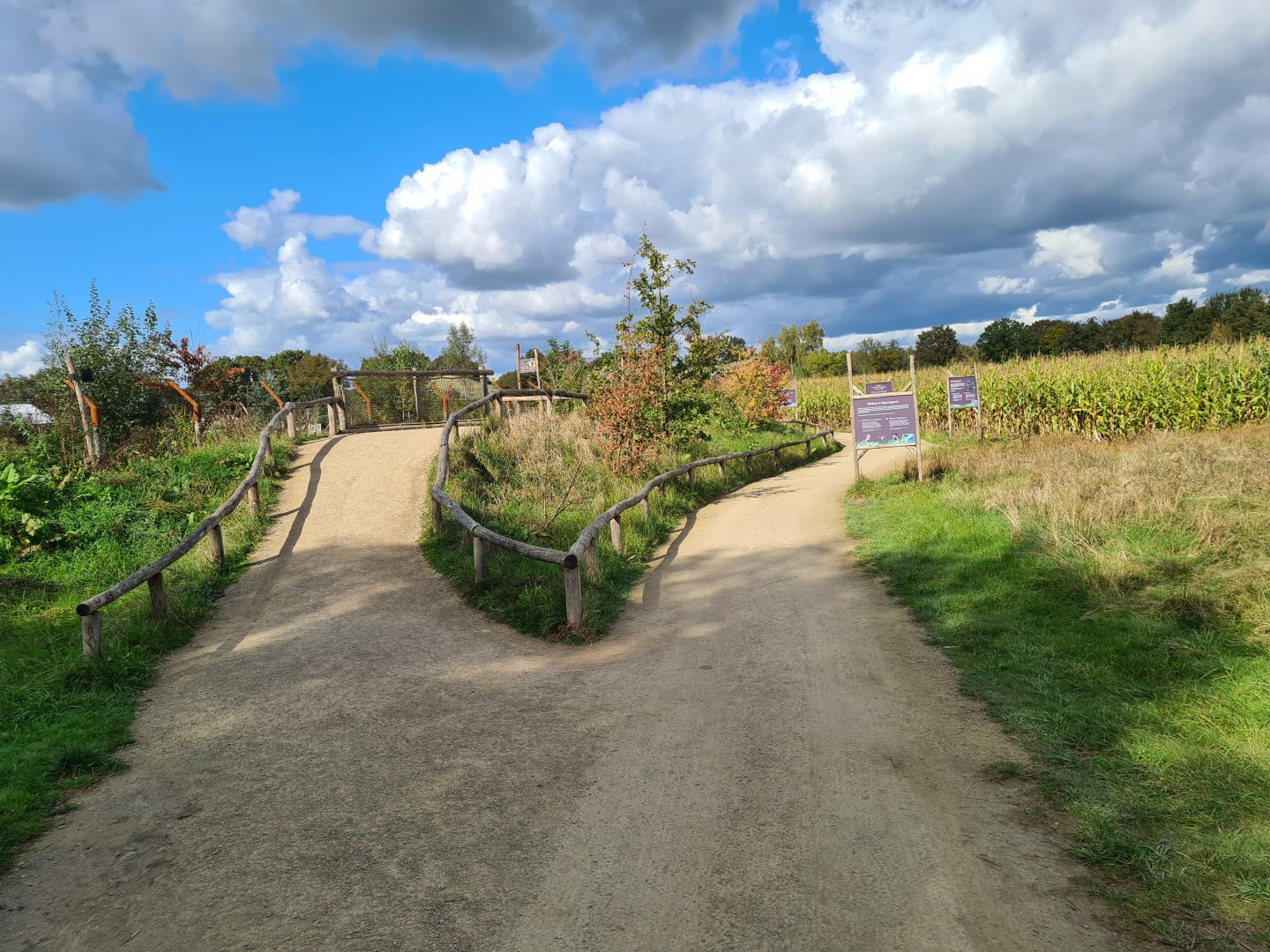 Ngorongo - Walkway in new expansion area