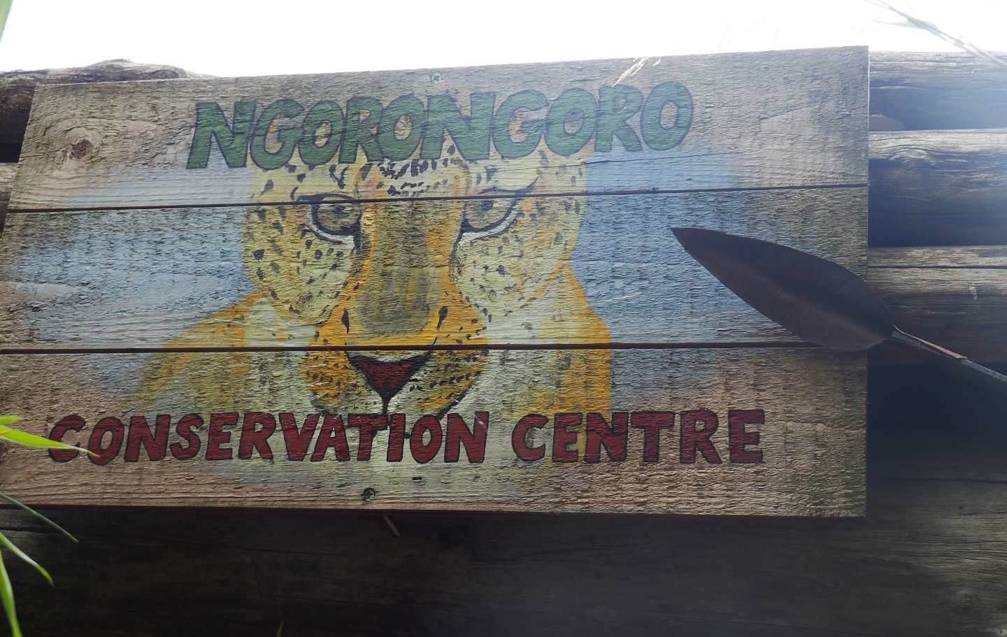 Ngorongoro conservation centre sign on cheetah viewing shelter, 2019-08-11