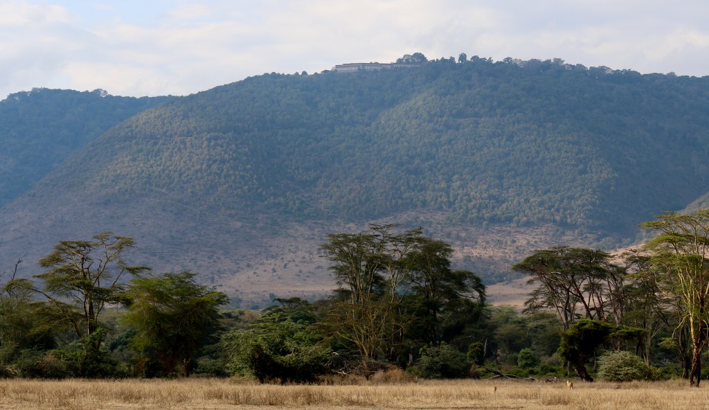 Ngorongoro Crater, with lions & Ngorongoro Widlife Lodge