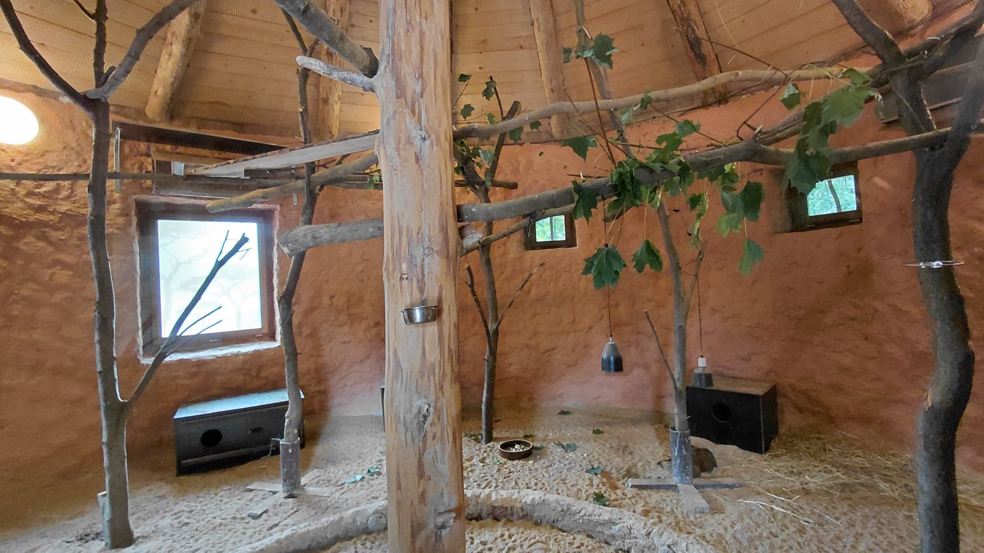 Ngorongoro indoor exhibit