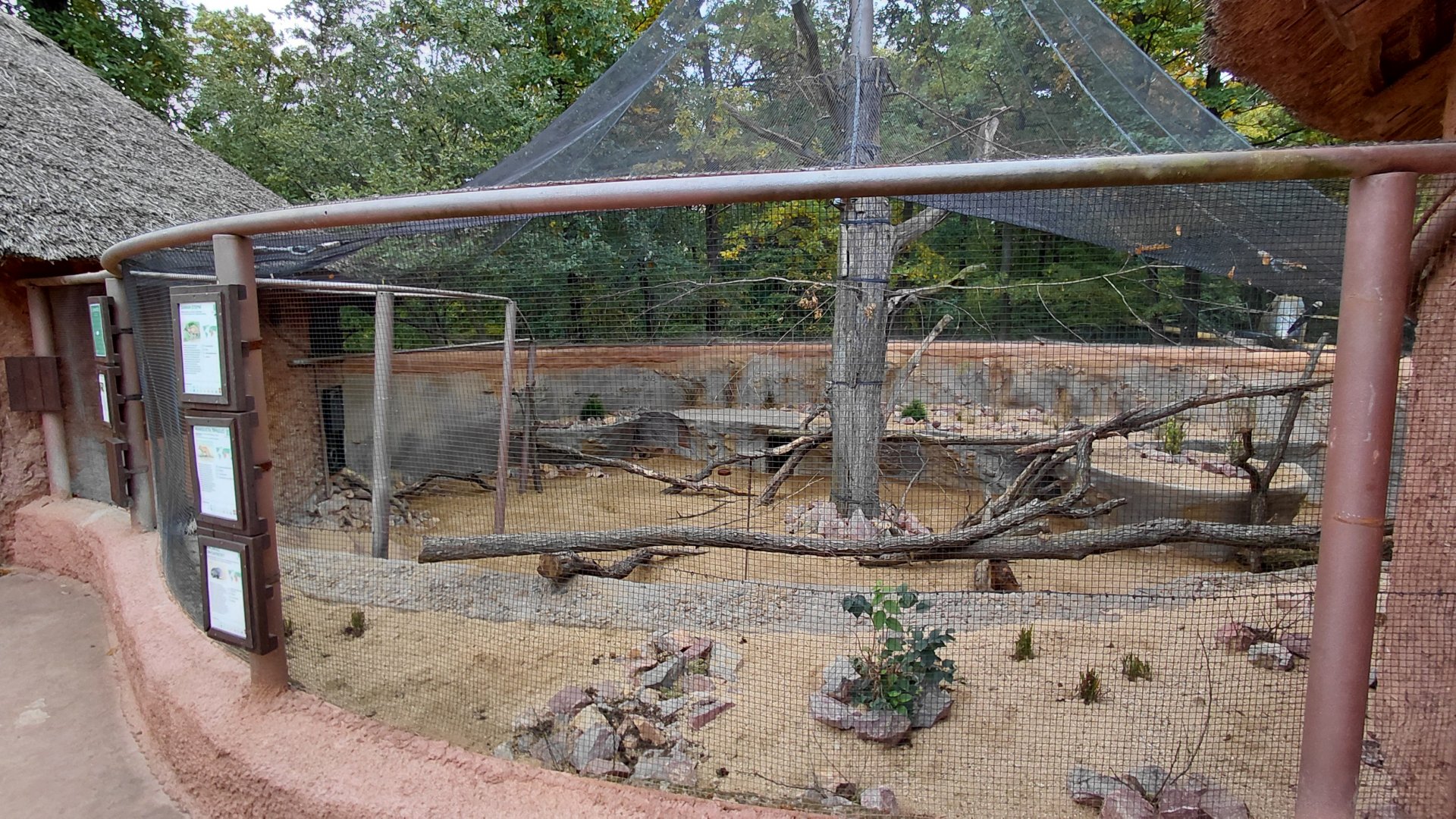 Ngorongoro outdoor exhibit