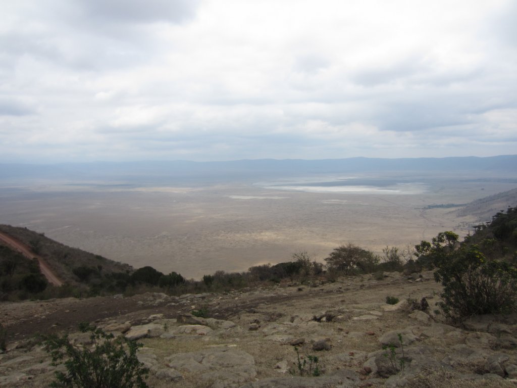 Ngoronogoro Crater