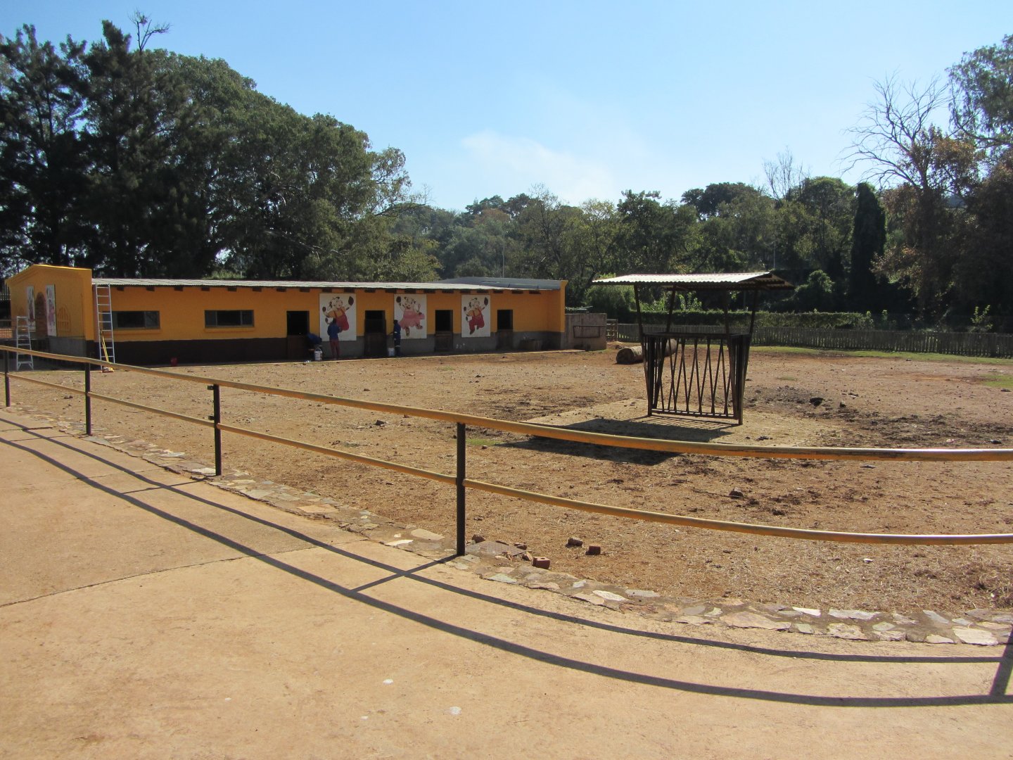 Nguni Cattle/Draft Donkey Yard