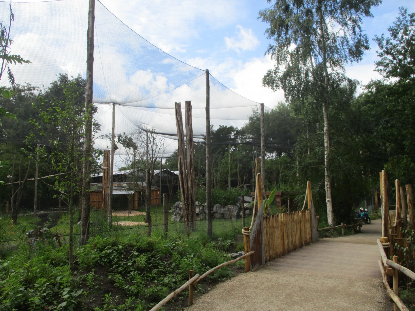 Ngyuwe - Aviary
