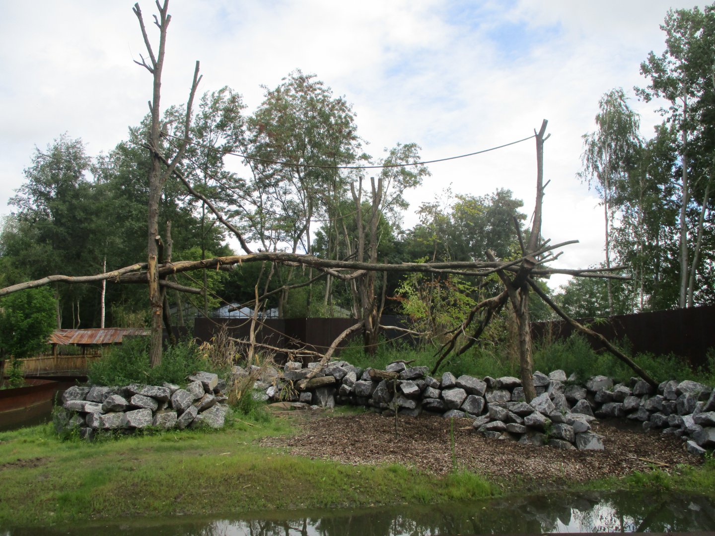 Ngyuwe - Drill, guenon and river hog enclosure