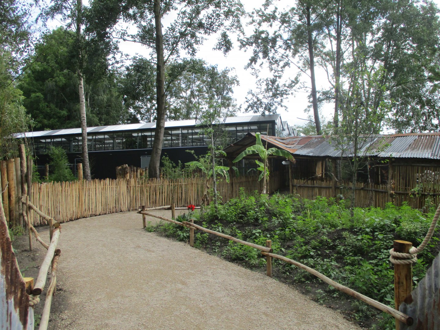 Ngyuwe - Greenhouse entrance