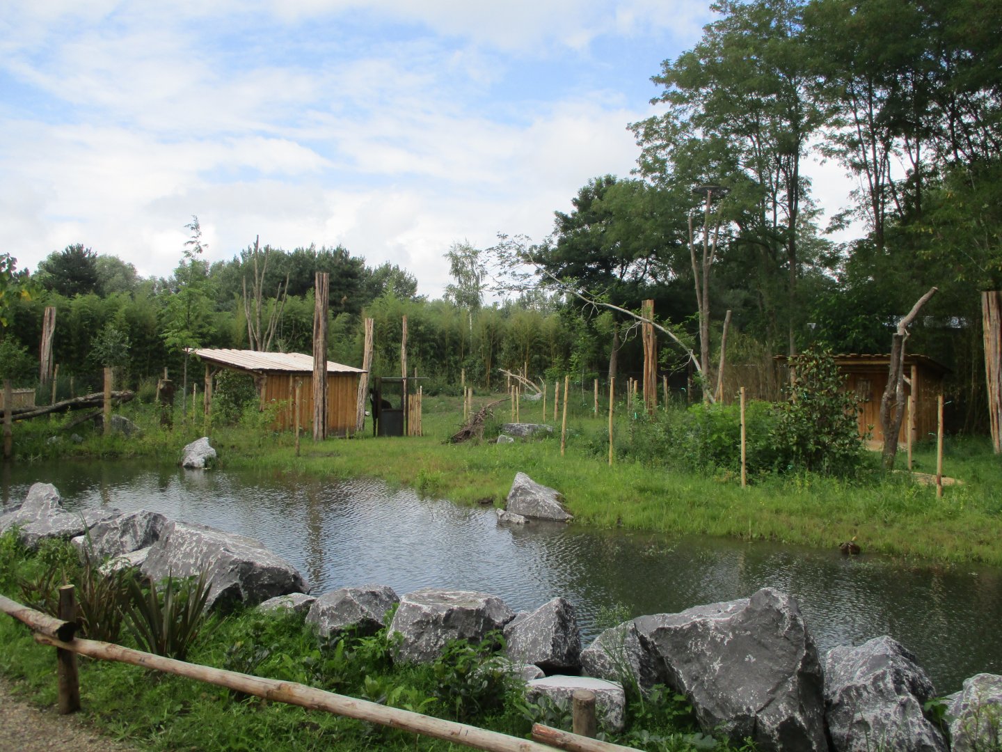 Ngyuwe - Okapi enclosures