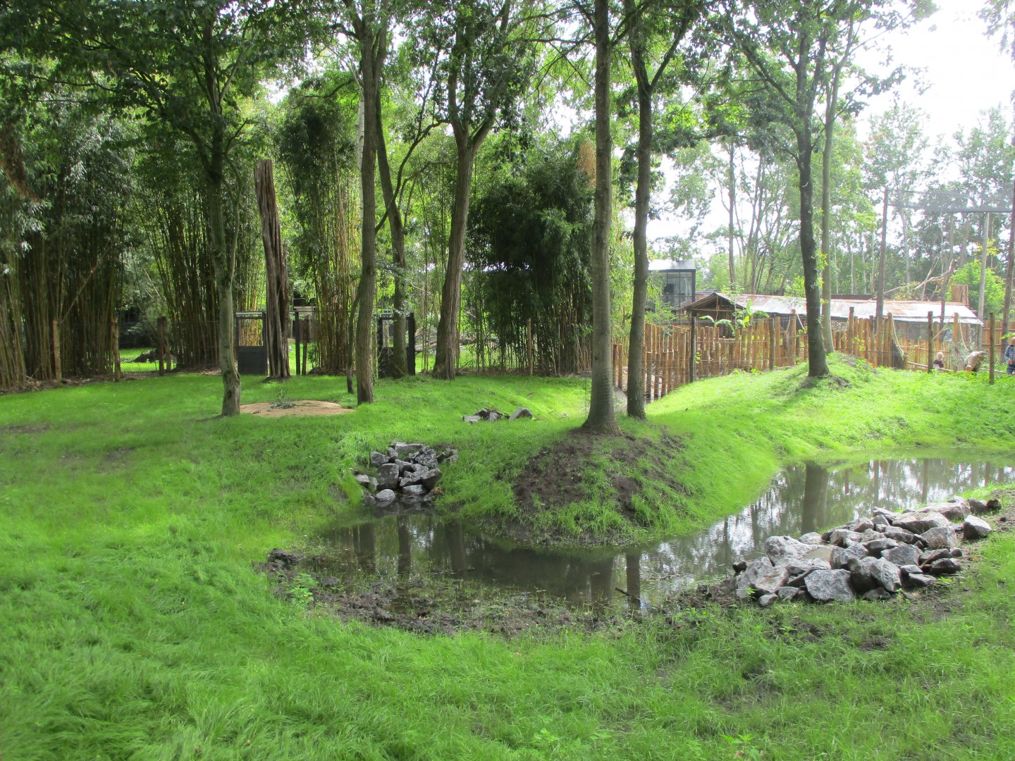 Ngyuwe - Pygmy hippo enclosure