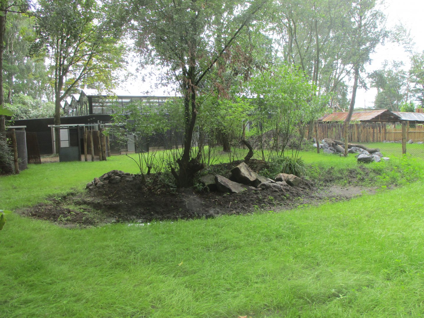 Ngyuwe - Pygmy hippo enclosure