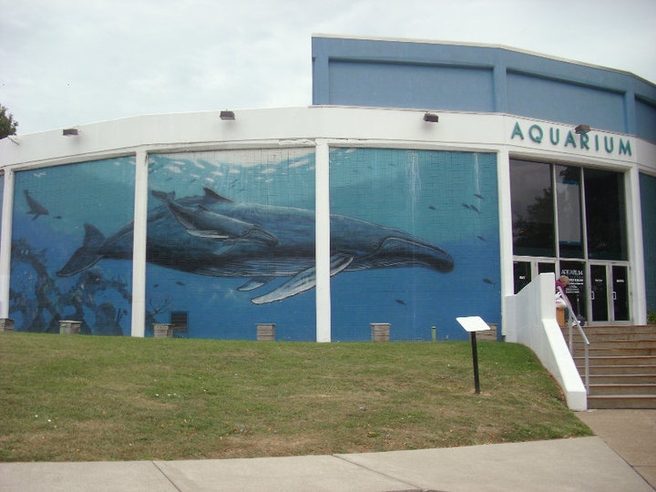 Niagara Falls Aquarium