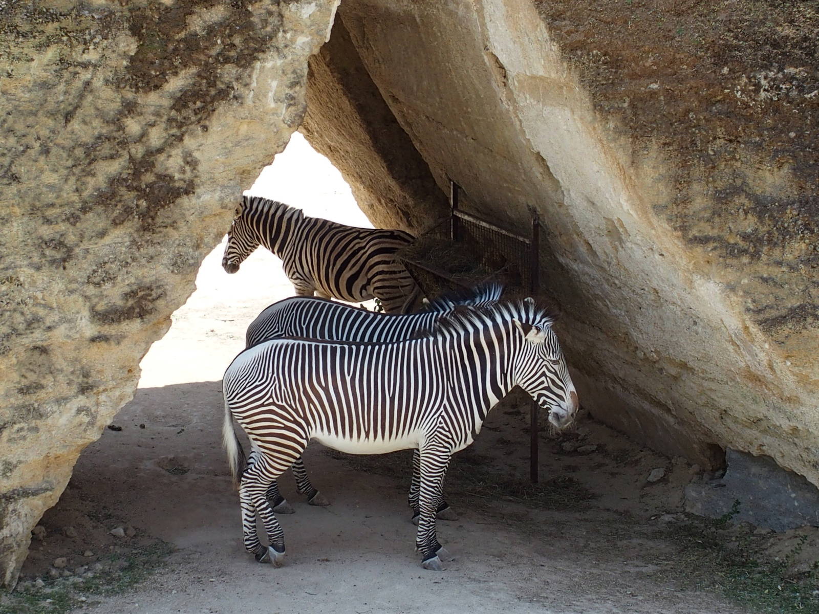 nice natural sun shading