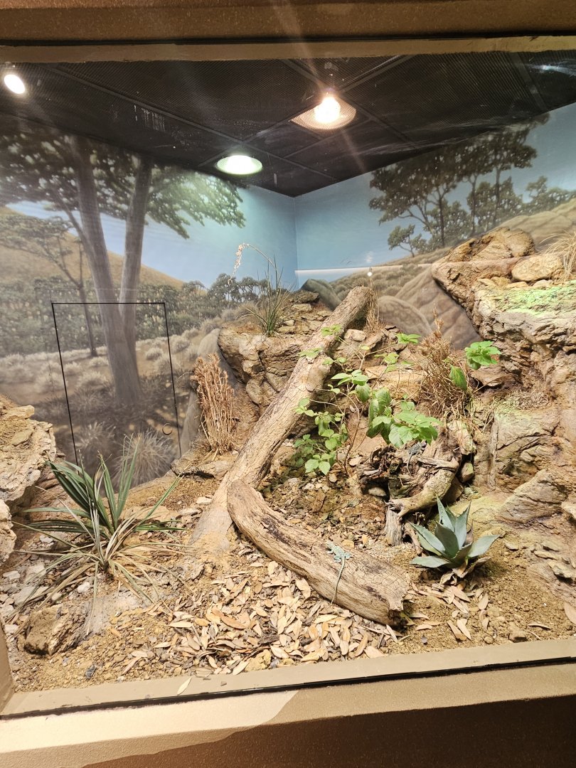 Nice New Mixed Exhibit