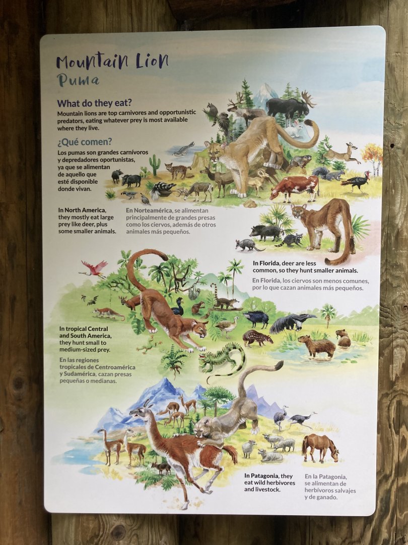 Nice Signage Illustration