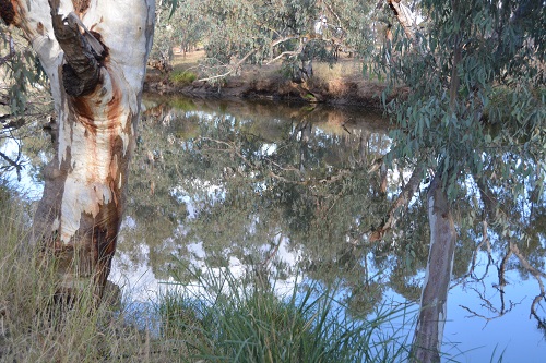 Nice spot.  Several species of birds here.