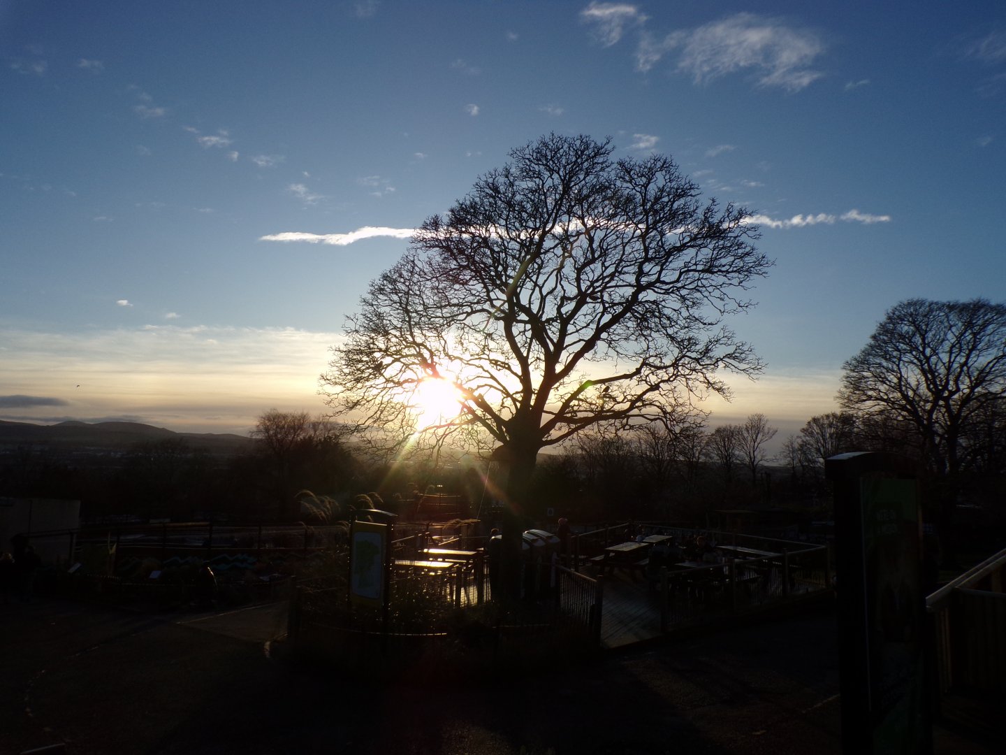 Nice view in the zoo 1.1.24