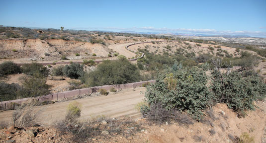 nice white rhino exhibit