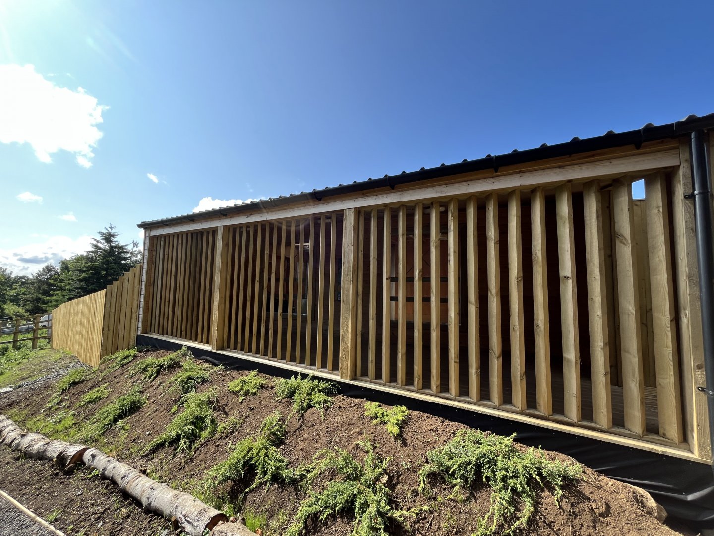 Nice Zebra house design 22.6.25