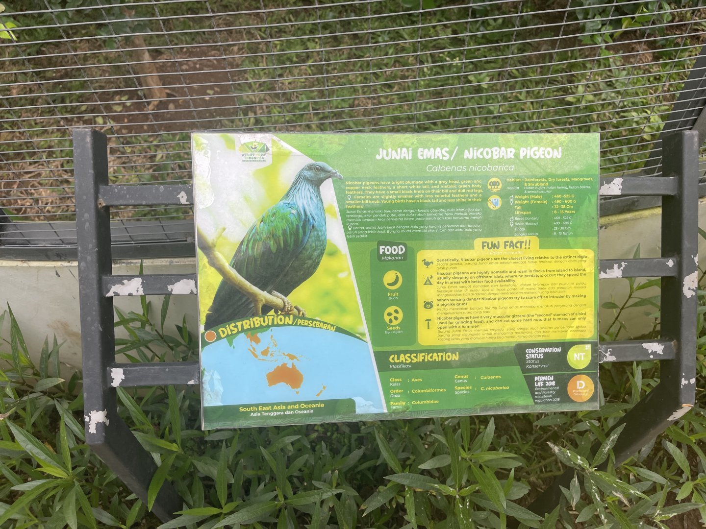 nicobar pigeon signage - aviary park