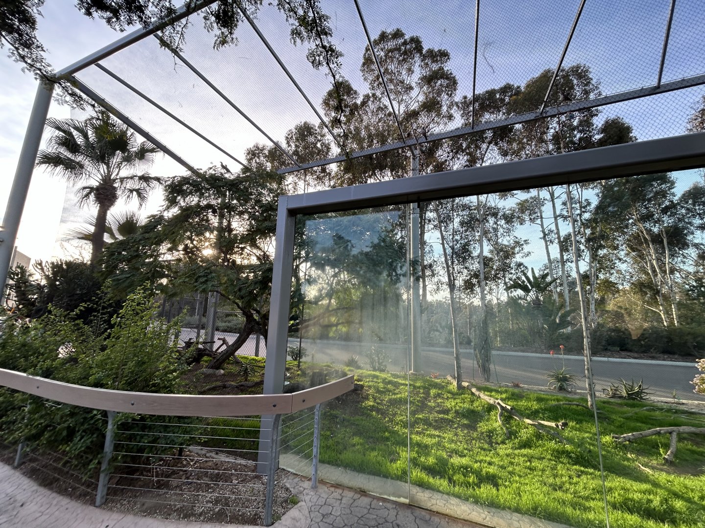Nicobar Pigeon & Wompoo Fruit Dove Aviary - Elephant Odyssey