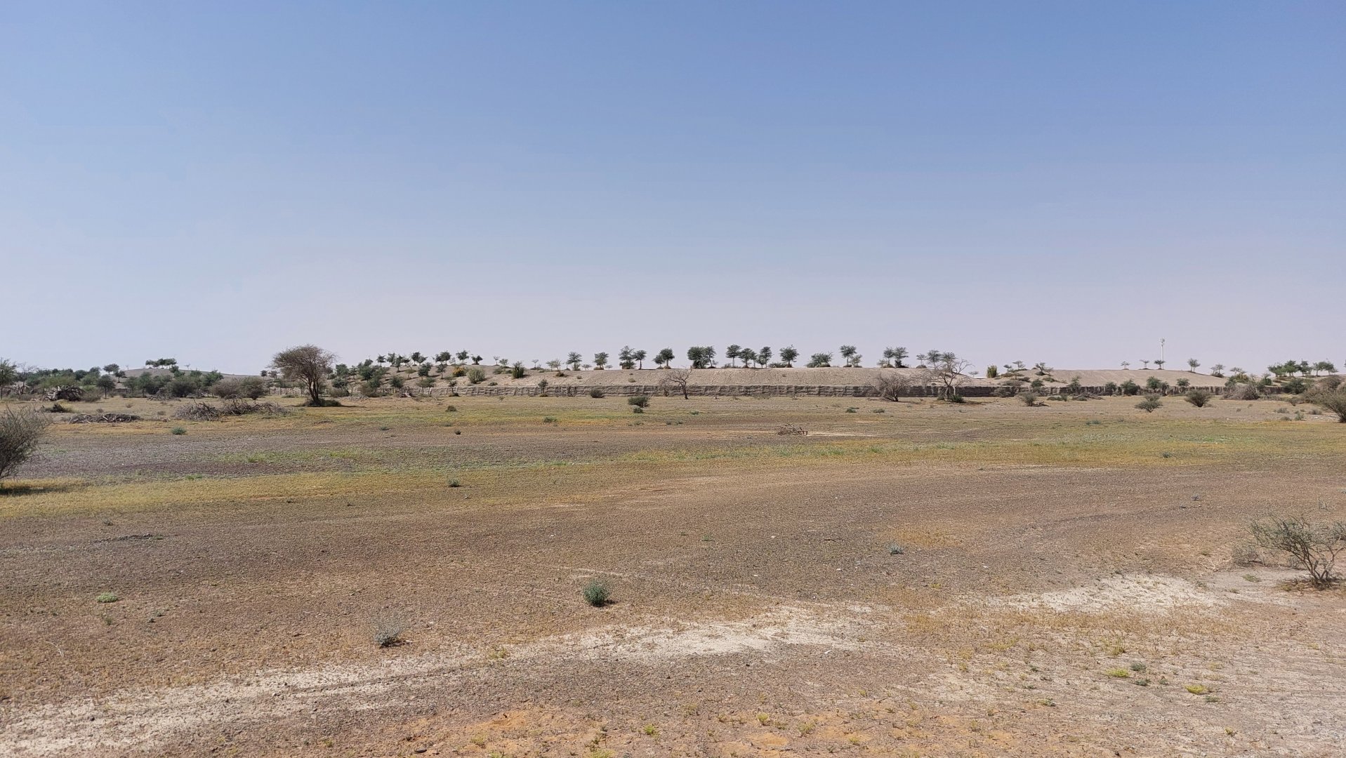 Niger Valley area (elephants) in the background