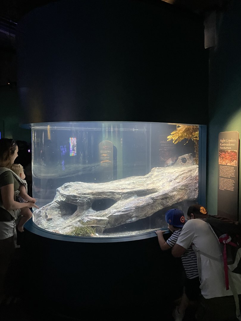 Night Crawlers Exhibit