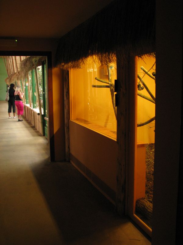 Night exhibits in the ndian rhino house