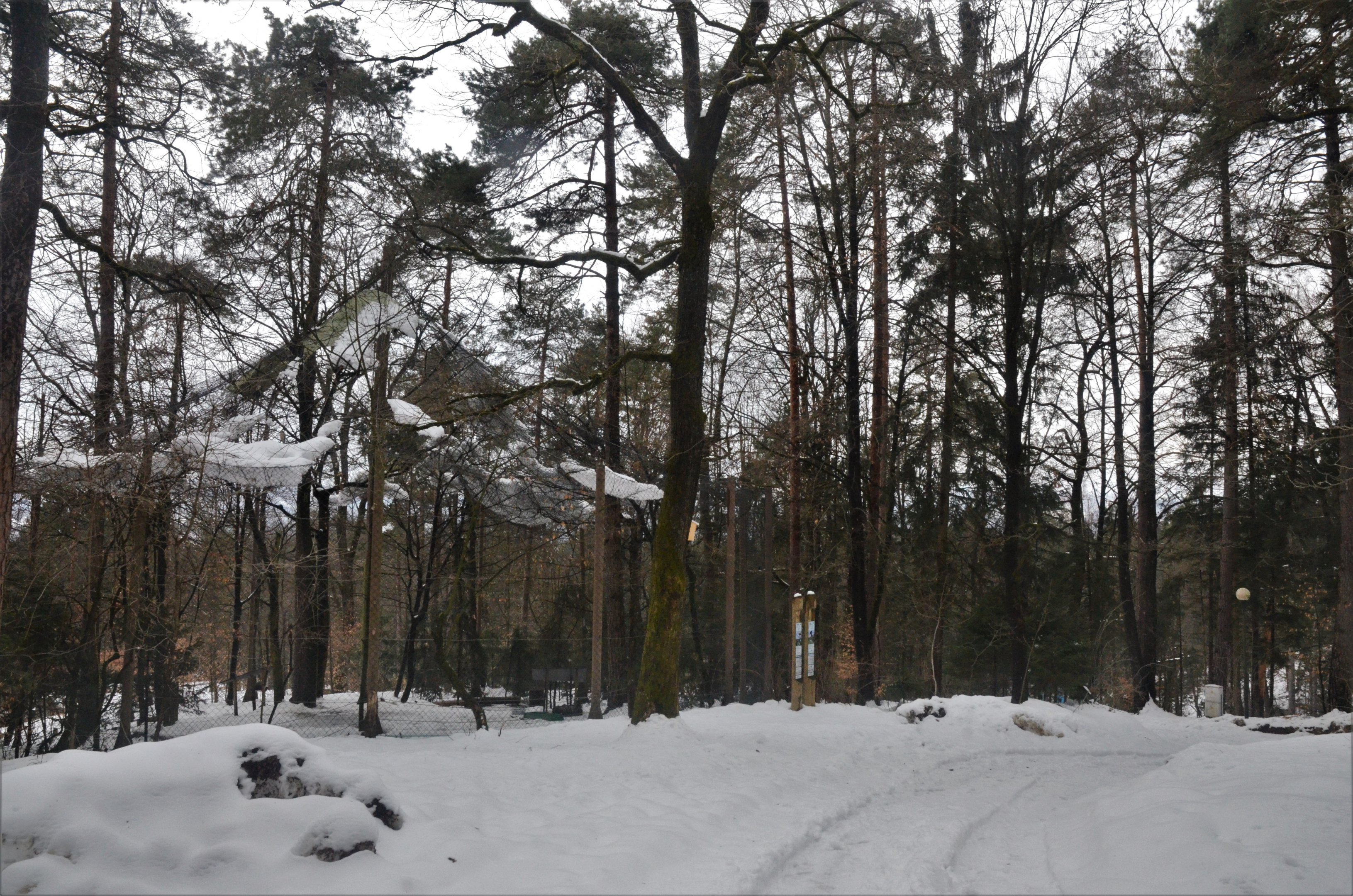 Night Heron and Black Stork Aviary at Ljubljana Zoo, 07/03/18