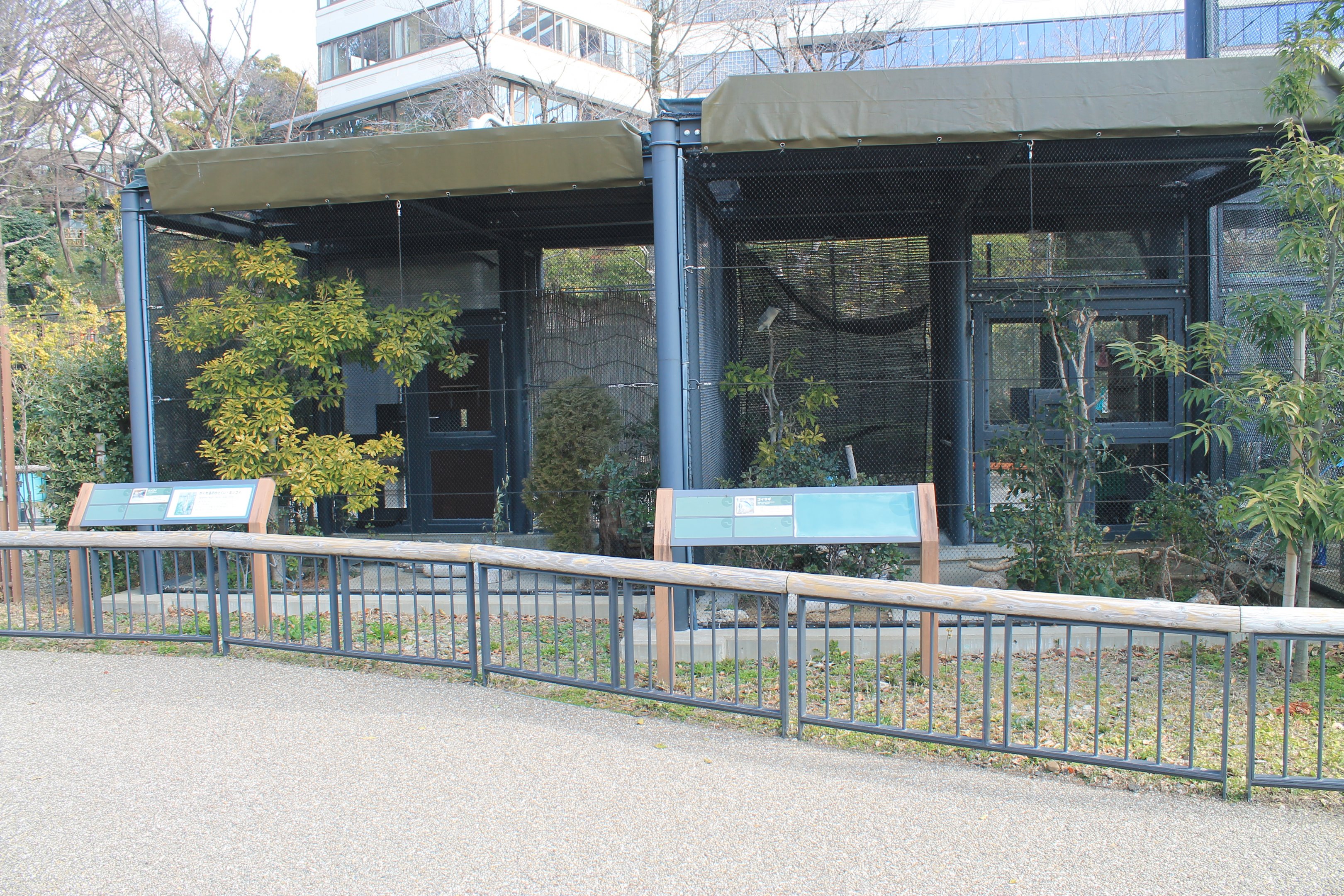 Night Heron aviaries, Childrens Zoo