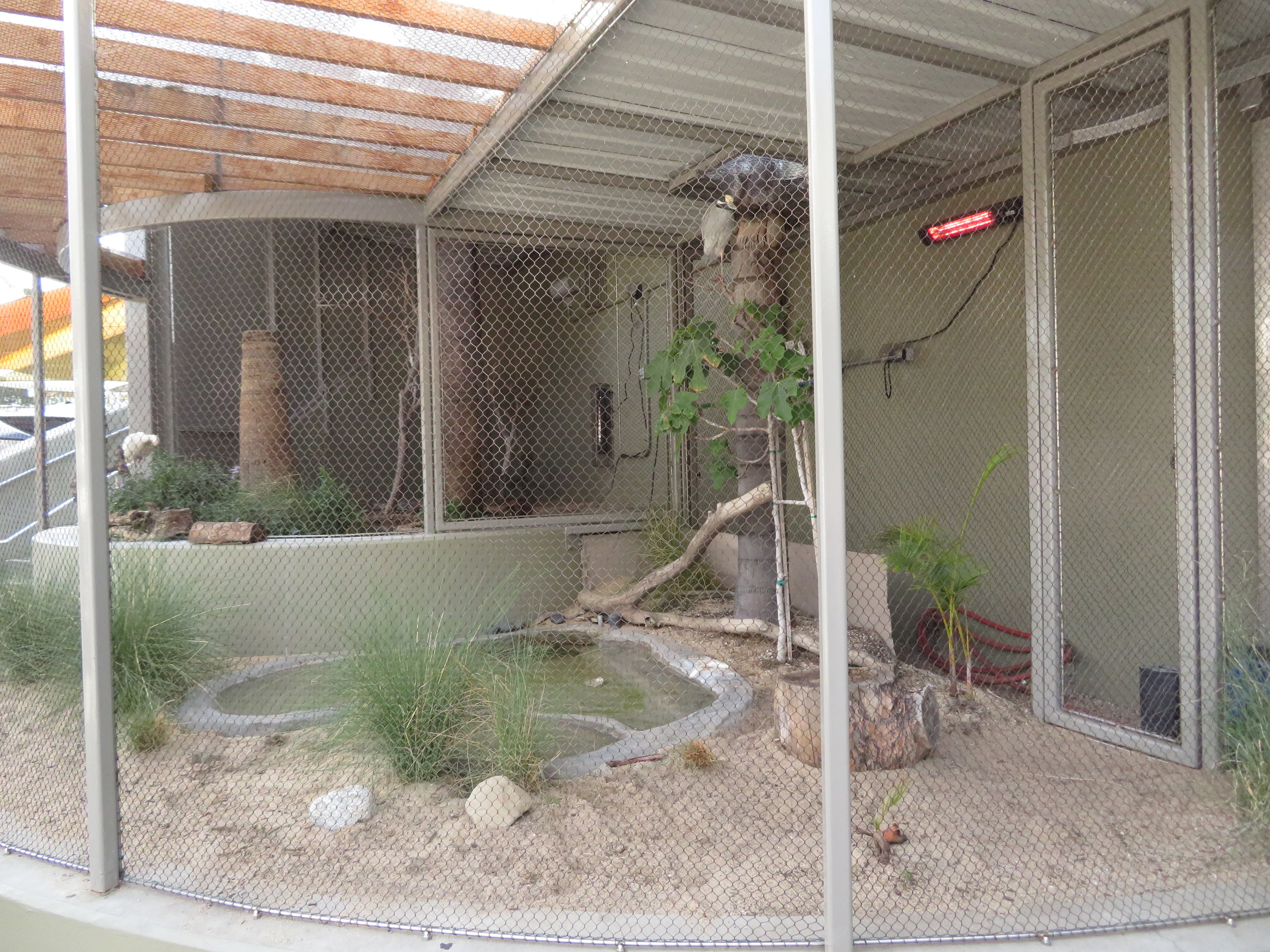 Night Heron Enclosure