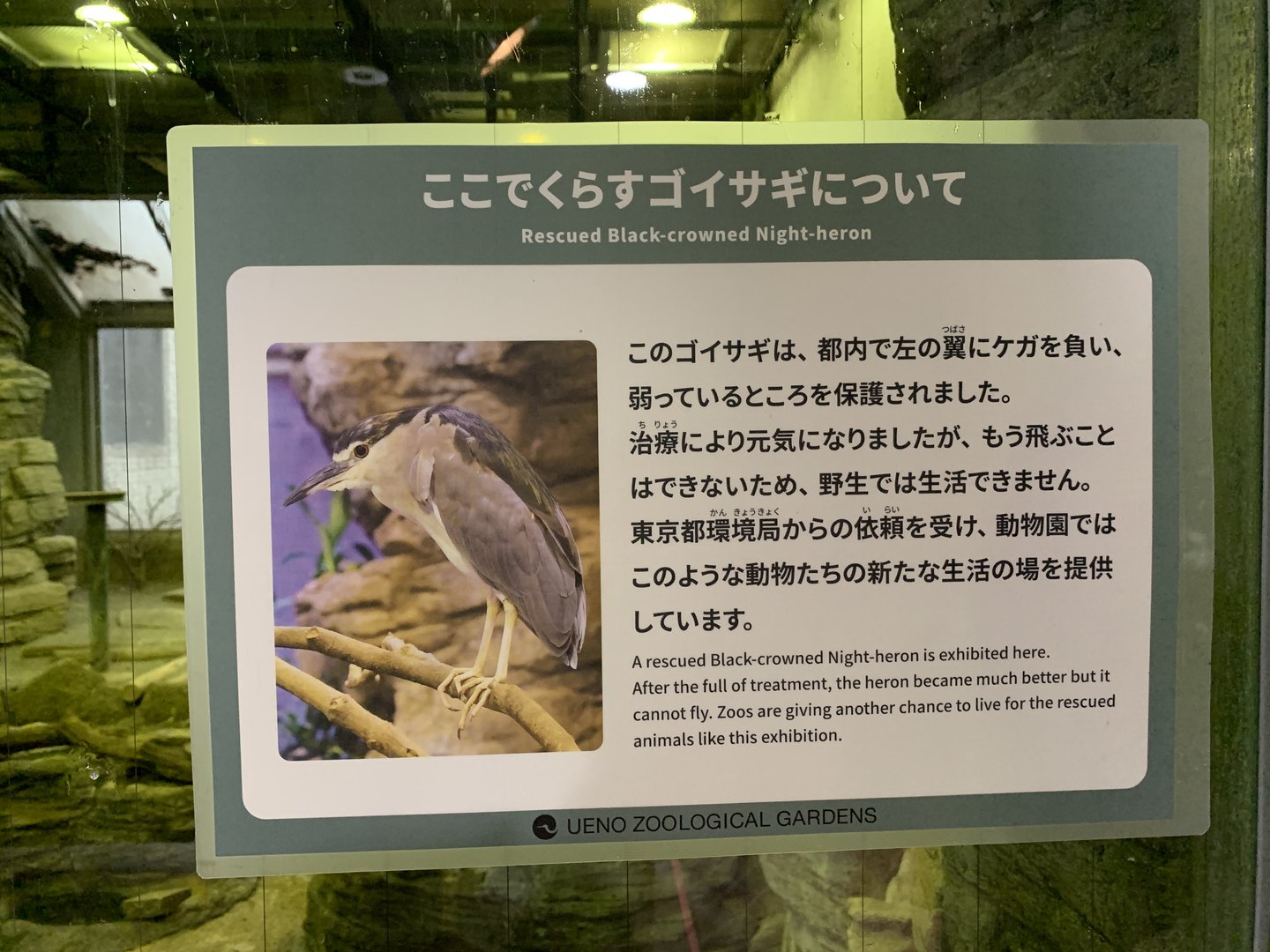 Night-heron Sign