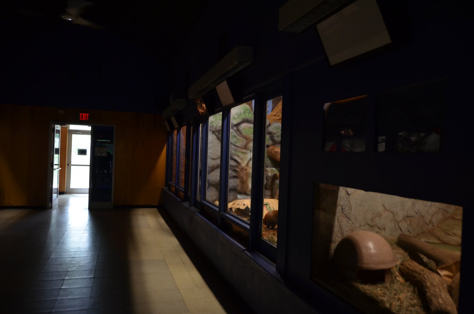 Night House Interior