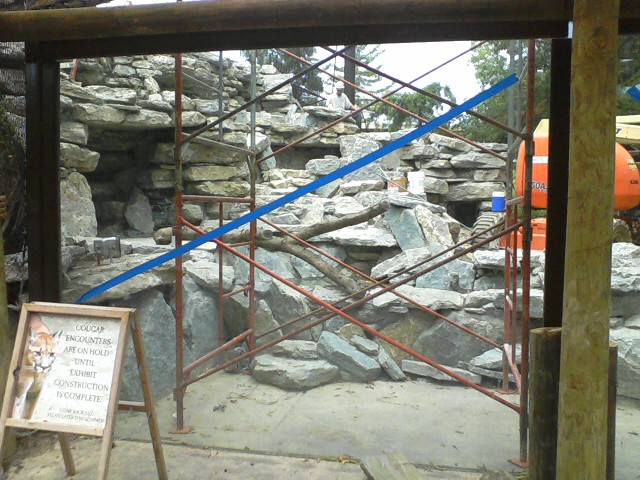 Night Hunters- Almost Finished Cougar exhibit