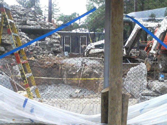 Night Hunters- Construction for the future Cougar exhibit