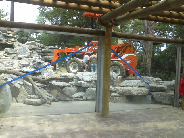 Night Hunters- Future Cougar exhibit