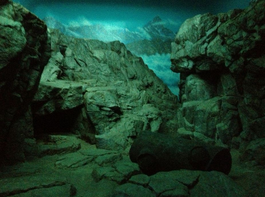 Night Hunters-Pallas's Cat exhibit