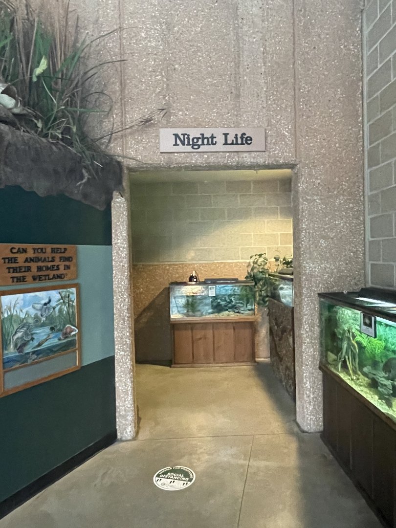 Night Life Entrance