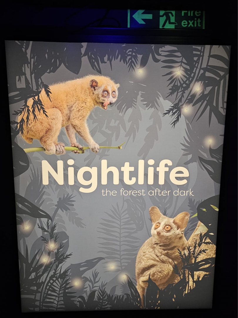 Night Life sign