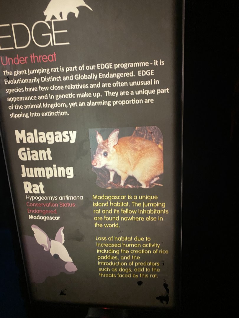 Night Life signage example 180322