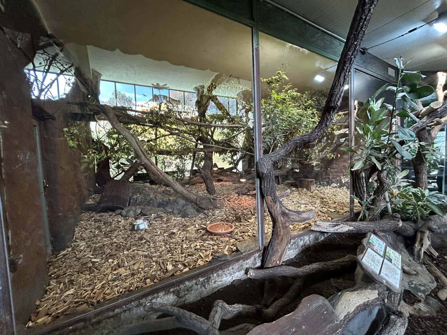 Night Monkey, Two-toed Sloth & Red-rumped Agouti Exhibit