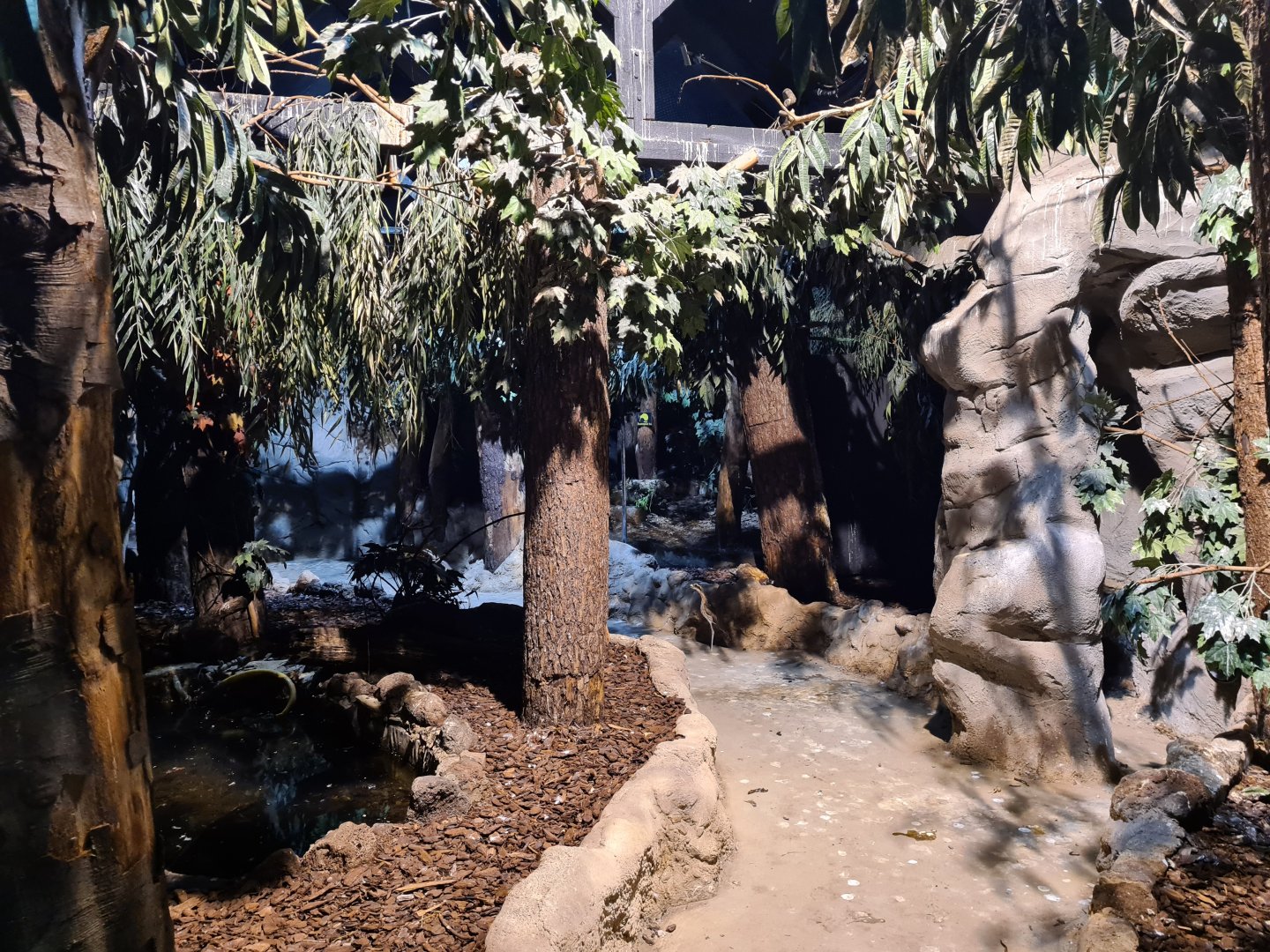 Night safari - Daylight settings