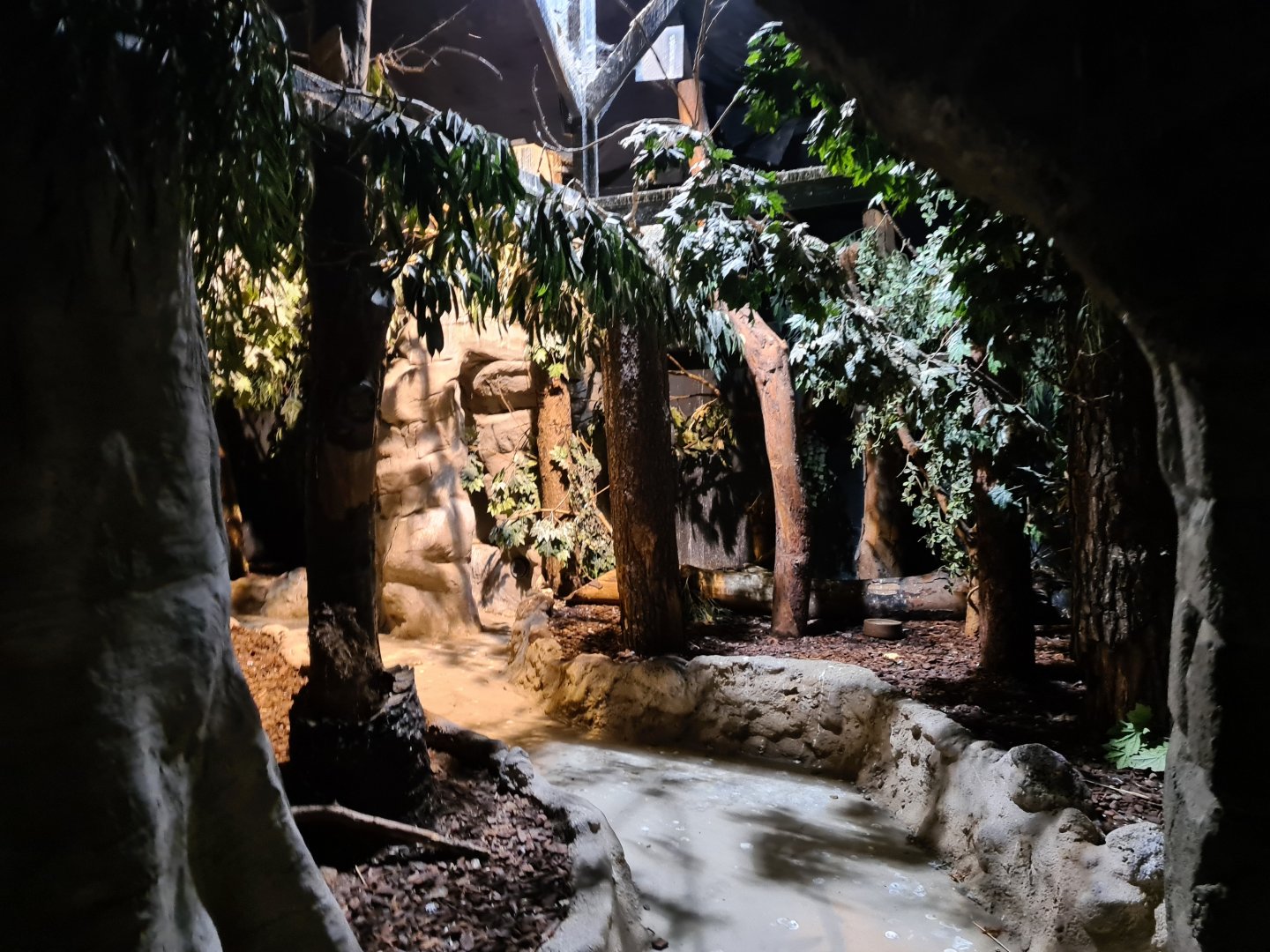 Night safari - Daylight settings