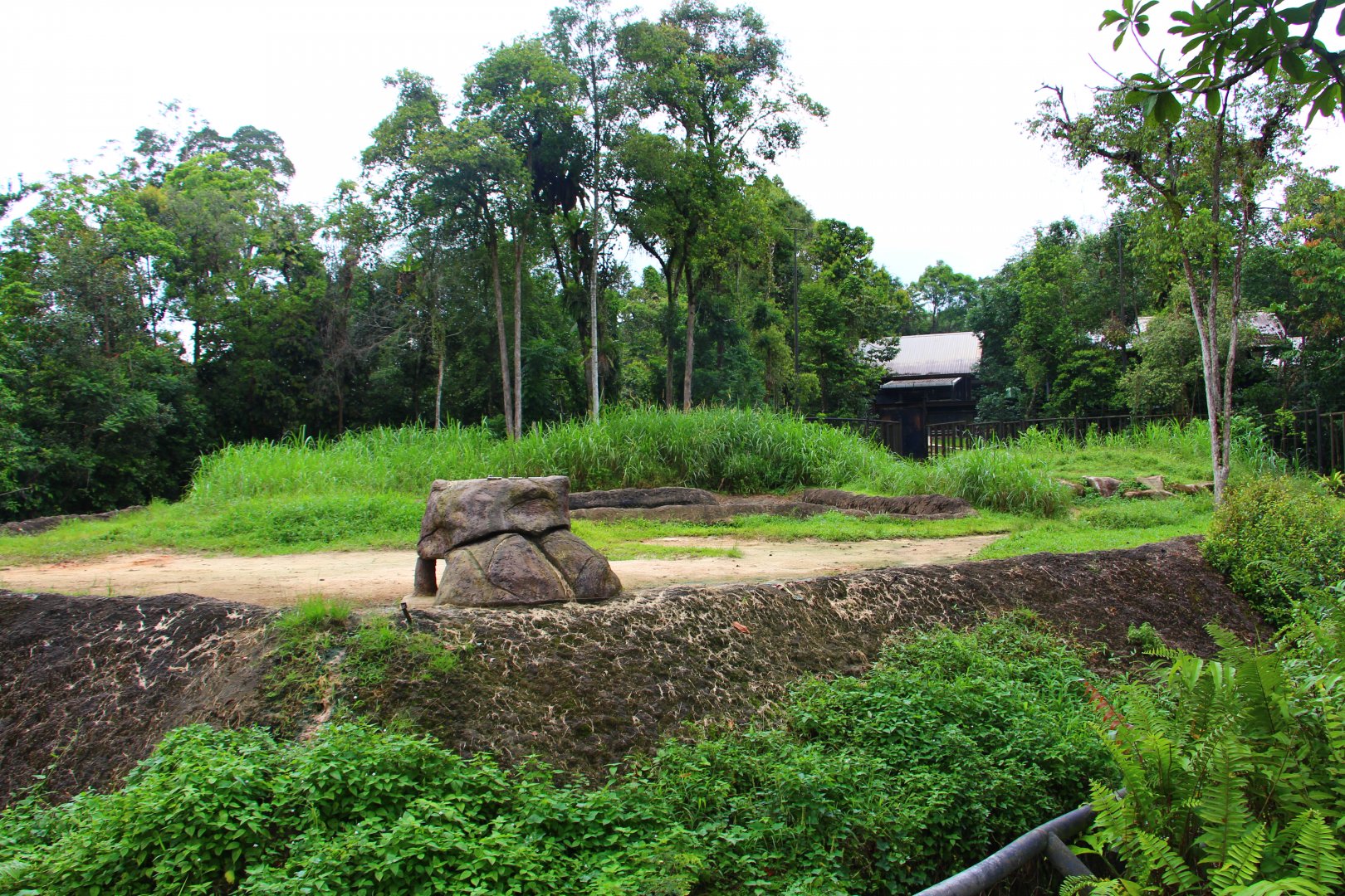 Night Safari in the day - Bull Asian Elephant exhibit (no animal)