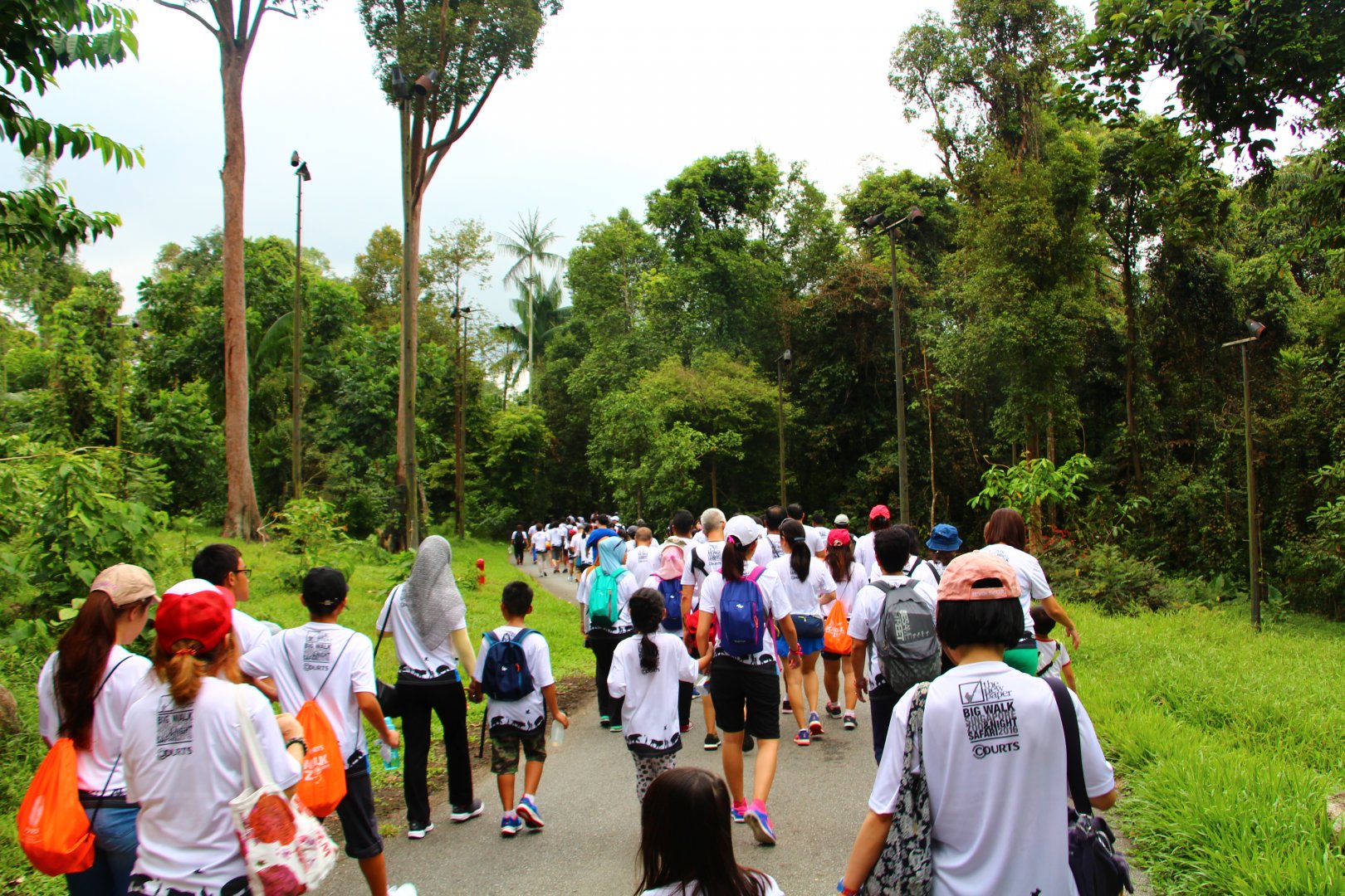 Night Safari in the day - Malayan Tapir drive-thru (no animals)